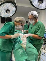 Atendimento Hospitalar em Odontopediatria. (4)